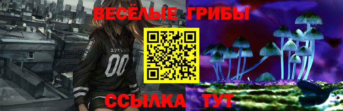 Псилоцибиновые грибы Cubensis Буйнакск