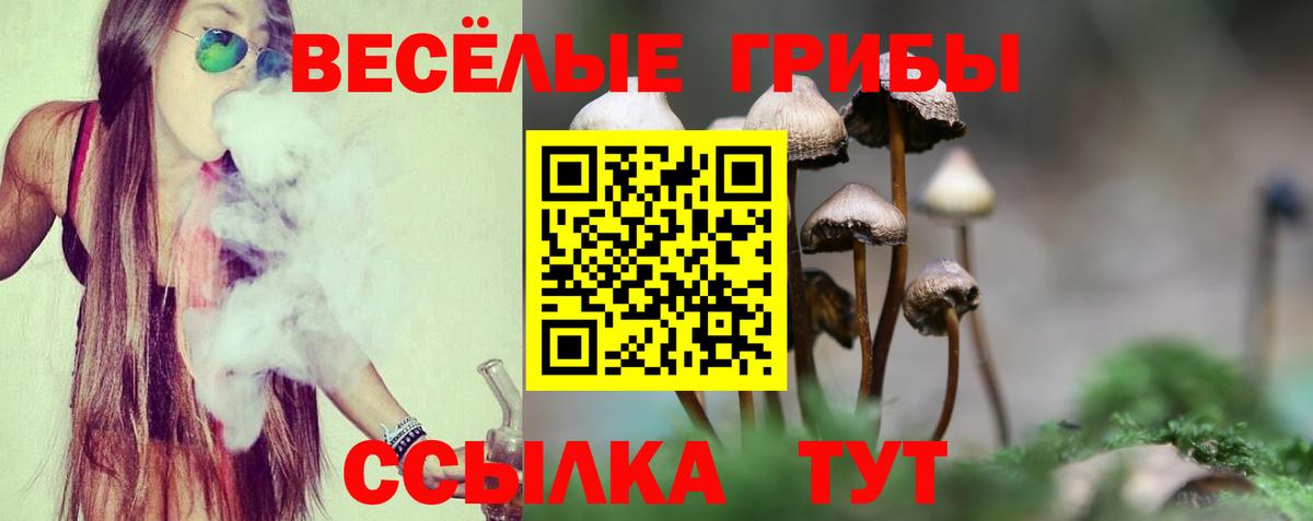 Псилоцибиновые грибы ЛСД  Вход с VPN  Буйнакск 